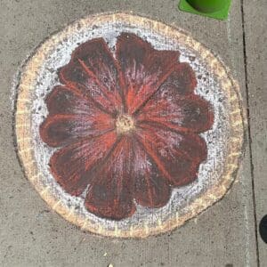 An Orange Flower Chalk Drawing in Color
