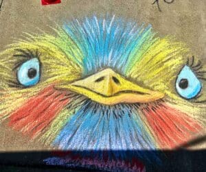 Colorful chalk drawing of an emu face.